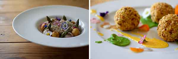 cookiamo_vegan_bortolon_01