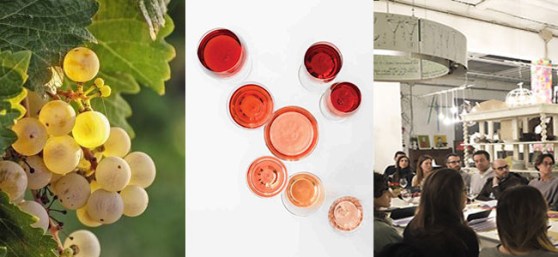 cookiamo_corso-degustazione-vino-puppin01-