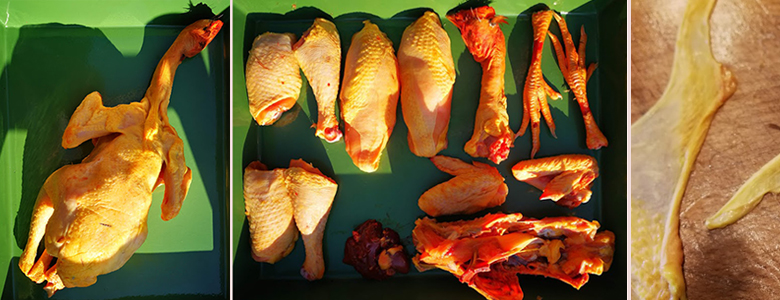 _slide_pollo_scuoiato